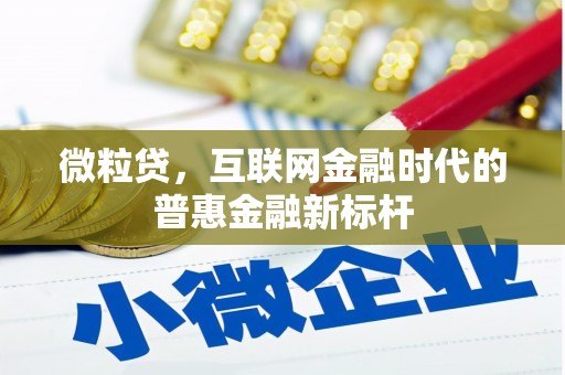 惠济微粒贷，互联网金融时代的普惠金融新标杆