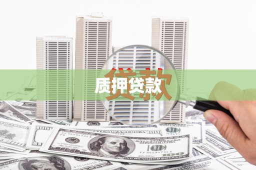 全南质押贷款