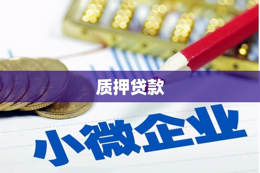 咸宁质押贷款