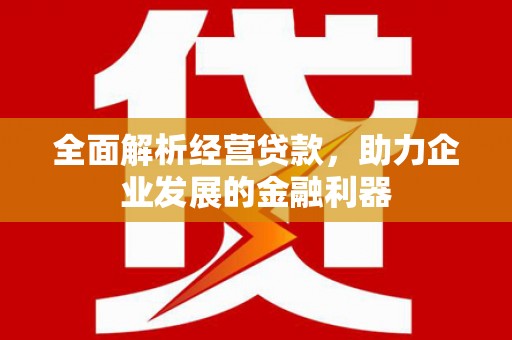 紫金全面解析经营贷款，助力企业发展的金融利器