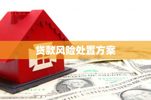 沙洋贷款风险处置方案