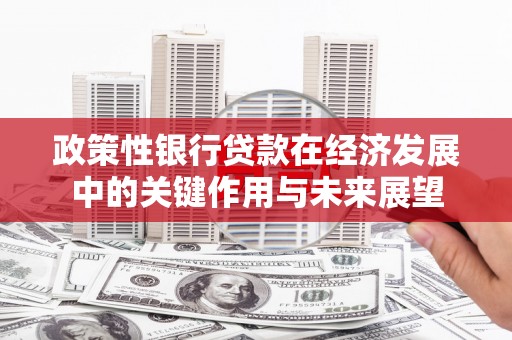 通海政策性银行贷款在经济发展中的关键作用与未来展望