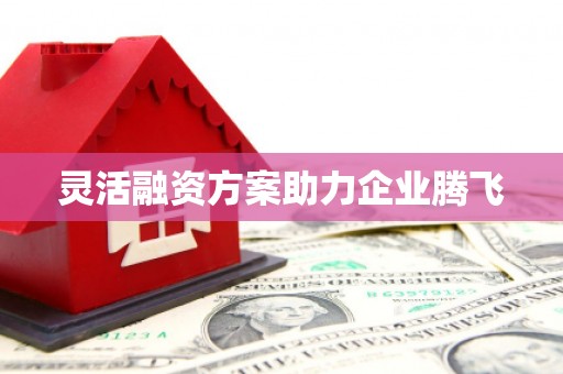 驻马店灵活融资方案助力企业腾飞