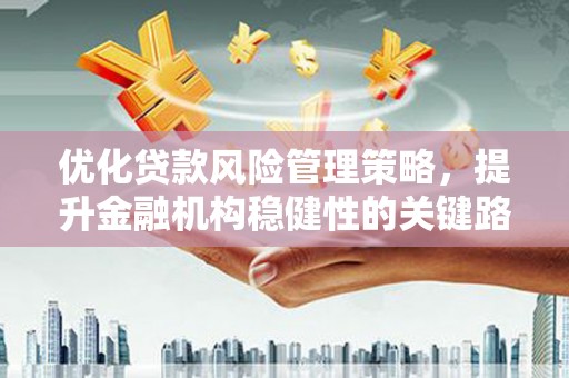美姑优化贷款风险管理策略，提升金融机构稳健性的关键路径