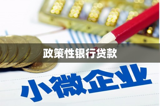 宝鸡政策性银行贷款