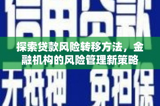 田林探索贷款风险转移方法，金融机构的风险管理新策略