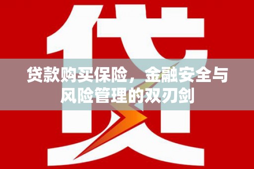巍山贷款购买保险，金融安全与风险管理的双刃剑