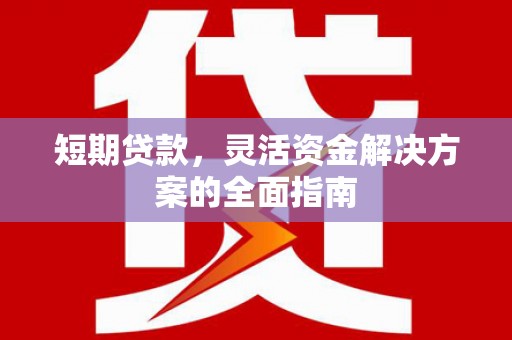 上林短期贷款，灵活资金解决方案的全面指南