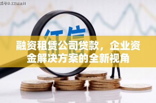 琼中融资租赁公司贷款，企业资金解决方案的全新视角