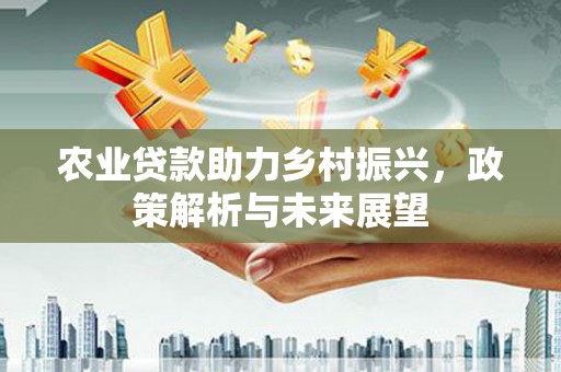 壶关农业贷款助力乡村振兴，政策解析与未来展望