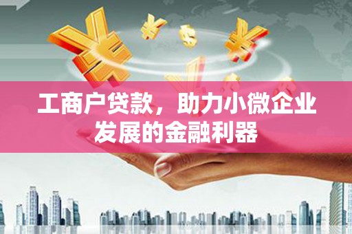 岱岳工商户贷款，助力小微企业发展的金融利器