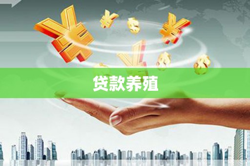 大社贷款养殖