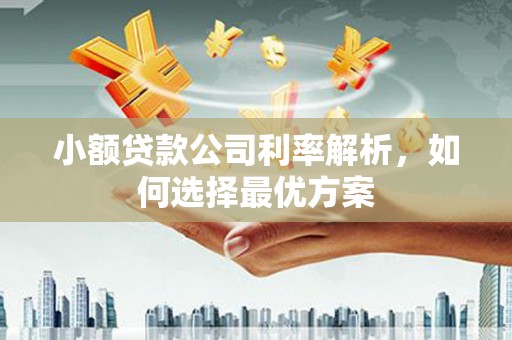 茂林小额贷款公司利率解析，如何选择最优方案