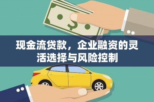 措勤现金流贷款，企业融资的灵活选择与风险控制