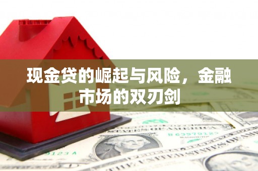 内湖现金贷的崛起与风险，金融市场的双刃剑