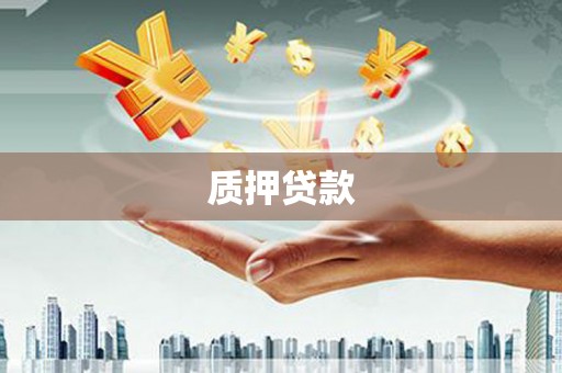 怀化质押贷款