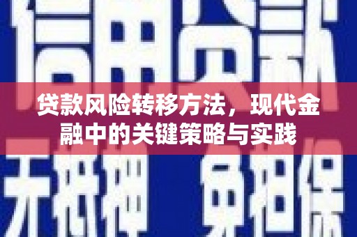 岢岚贷款风险转移方法，现代金融中的关键策略与实践