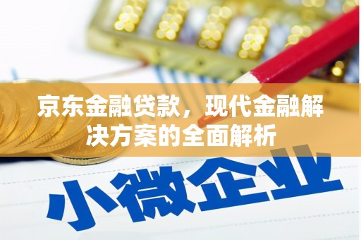 乐昌京东金融贷款，现代金融解决方案的全面解析