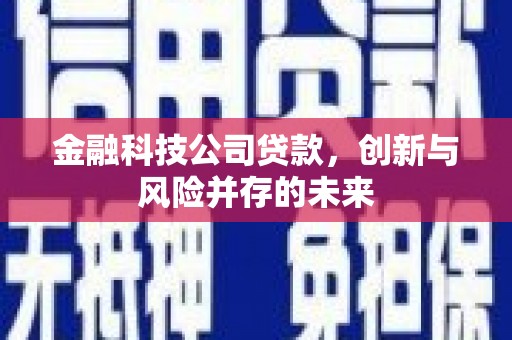 黟县金融科技公司贷款，创新与风险并存的未来