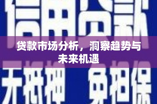 伽师贷款市场分析，洞察趋势与未来机遇