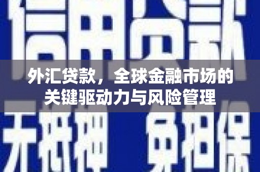 宁陵外汇贷款，全球金融市场的关键驱动力与风险管理