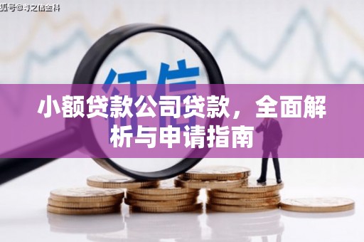 合水小额贷款公司贷款，全面解析与申请指南
