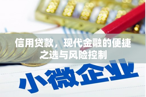 林园信用贷款，现代金融的便捷之选与风险控制