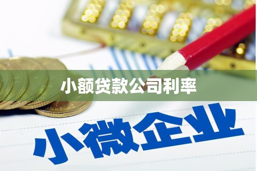 当涂小额贷款公司利率