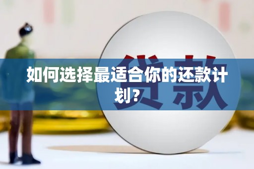 外埔如何选择最适合你的还款计划？