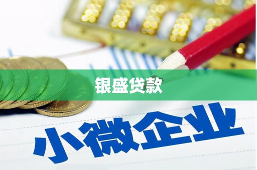 枞阳银盛贷款