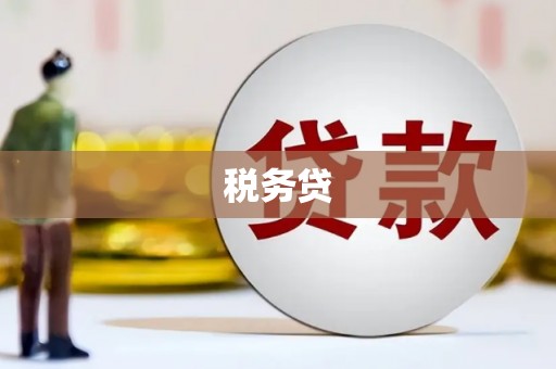 雁塔税务贷