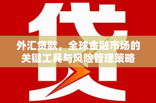 马尔康外汇贷款，全球金融市场的关键工具与风险管理策略