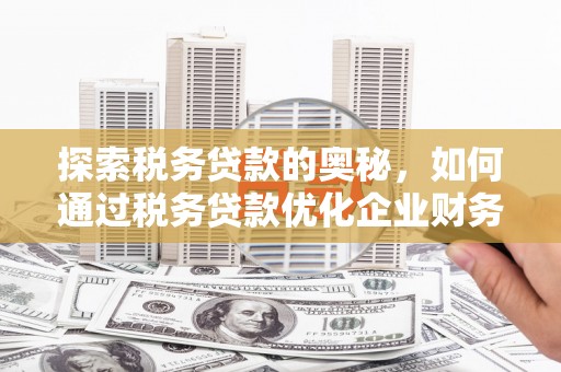 疏勒探索税务贷款的奥秘，如何通过税务贷款优化企业财务