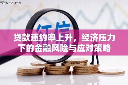 阳春贷款违约率上升，经济压力下的金融风险与应对策略
