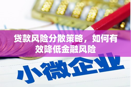 乳源贷款风险分散策略，如何有效降低金融风险