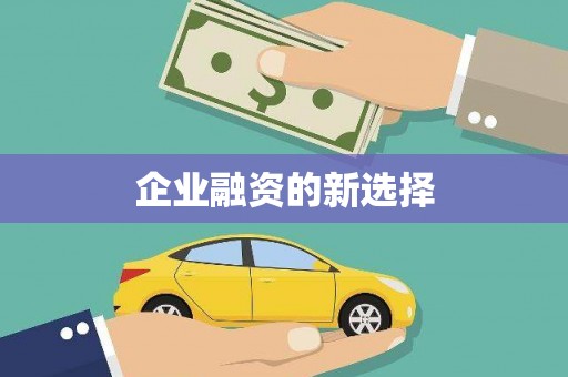 秀林企业融资的新选择