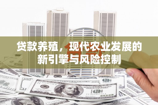 暖暖贷款养殖，现代农业发展的新引擎与风险控制