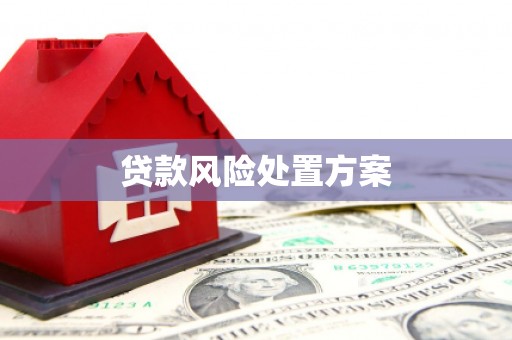 门源贷款风险处置方案