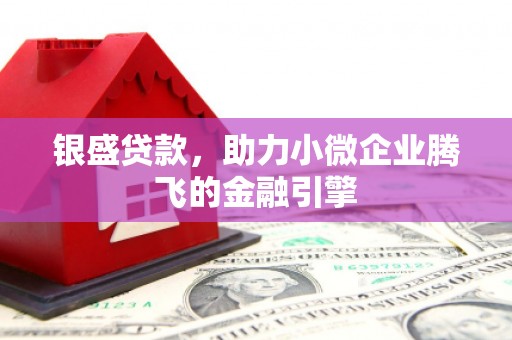 湛江银盛贷款，助力小微企业腾飞的金融引擎