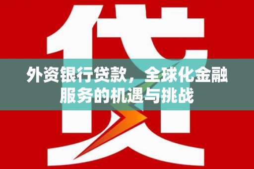 靖西外资银行贷款，全球化金融服务的机遇与挑战