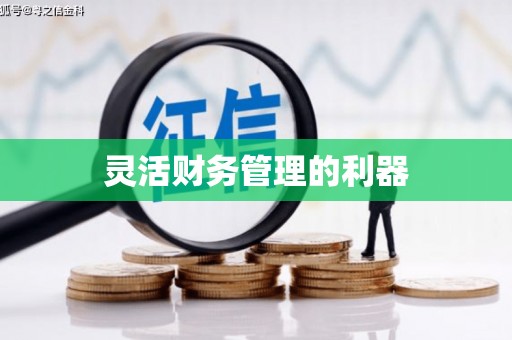 五台灵活财务管理的利器