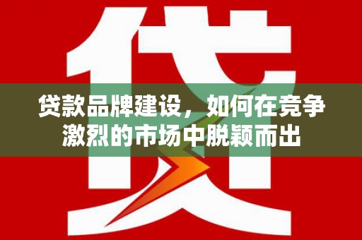 荔浦贷款品牌建设，如何在竞争激烈的市场中脱颖而出