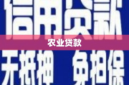 望城农业贷款