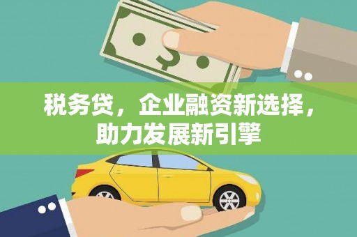 西区税务贷，企业融资新选择，助力发展新引擎