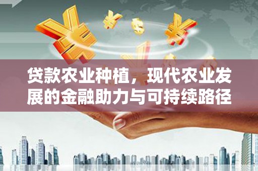 武穴贷款农业种植，现代农业发展的金融助力与可持续路径