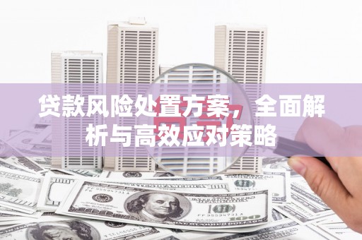 新邱贷款风险处置方案，全面解析与高效应对策略