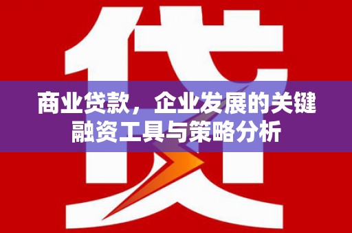 沈丘商业贷款，企业发展的关键融资工具与策略分析