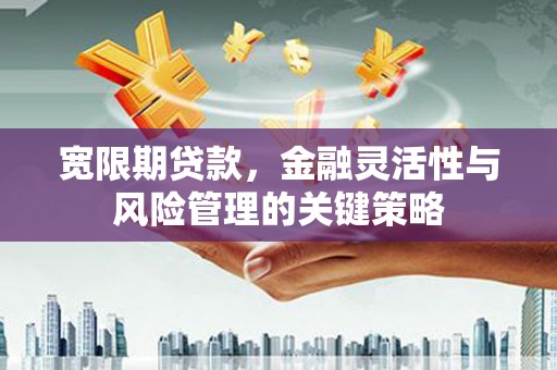 燕巢宽限期贷款，金融灵活性与风险管理的关键策略