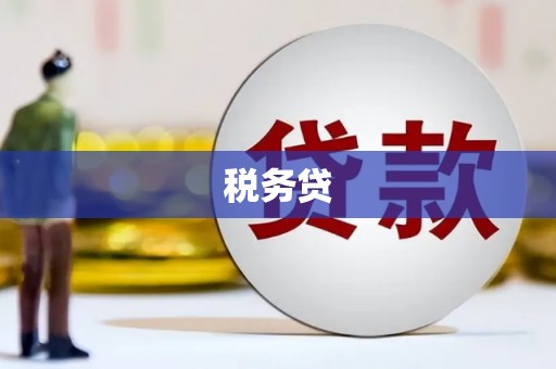泾川税务贷