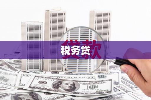 临沭税务贷